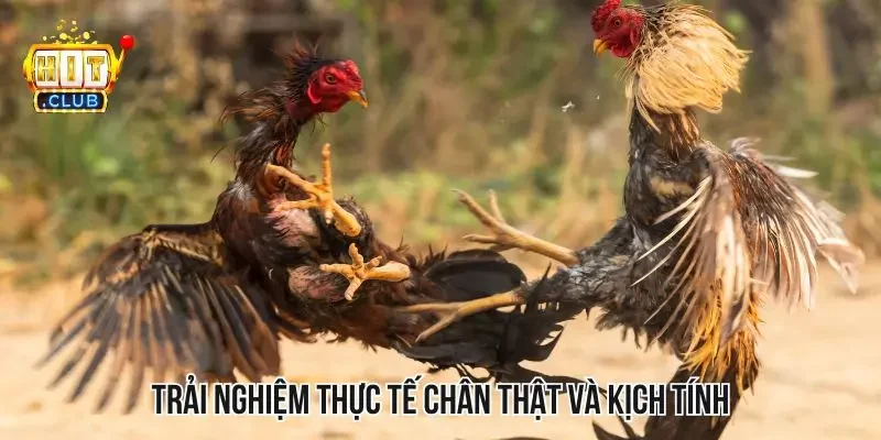 Khi gia nhập sảnh game, bạn sẽ được trải nghiệm những phút giây sống động Khi gia nhập sảnh game, bạn sẽ được trải nghiệm những phút giây sống động