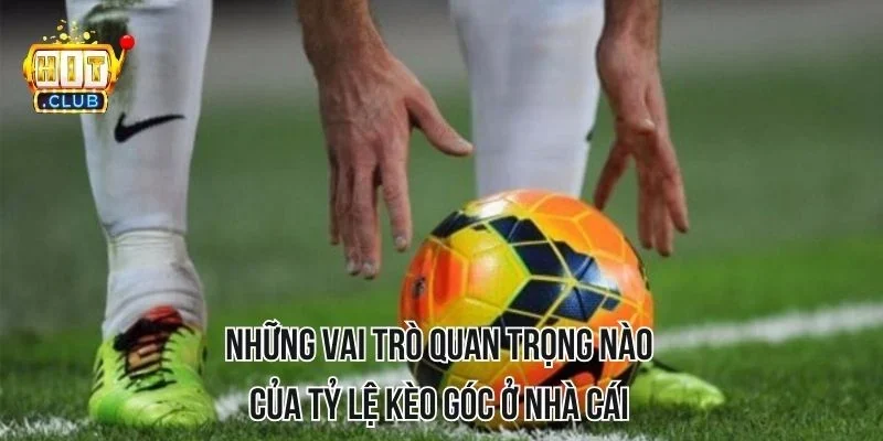 Những vai trò quan trọng nào của tỷ lệ kèo góc ở nhà cái Những vai trò quan trọng nào của tỷ lệ kèo góc ở nhà cái