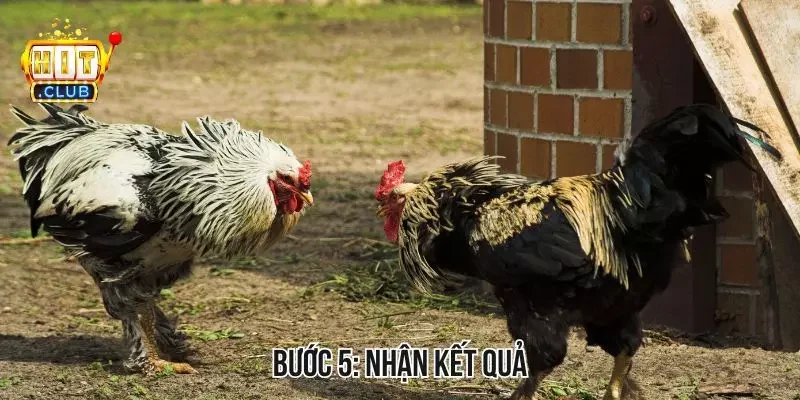 Sau khi trận đấu kết thúc, bạn chỉ cần chờ hệ thống trả kết quả Sau khi trận đấu kết thúc, bạn chỉ cần chờ hệ thống trả kết quả